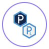 Choice of Software Product Icon